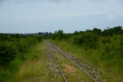 DSC_9612 (Large).JPG